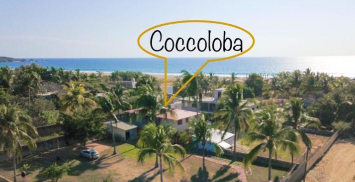 Coccoloba Guest House Пуэрто-Эскондидо Экстерьер фото